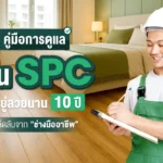 สำหรับใครที่เลือกใช้พื้น SPC ในบ้านหรือโครงการ ไม่ว่าจะด้วยดีไซน์ที่ทันสมัย หรือคุณสมบัติที่ทนทาน สิ่งหนึ่งที่ไม่ควรมองข้ามคือ วิธีดูแลพื้น SPC ให้สวยเหมือนใหม่ และใช้งานได้ยาวนานหลายปี เพราะแม้พื้น SPC จะขึ้นชื่อเรื่องความแข็งแรง แต่หากละเลยการดูแลก็อาจทำให้เสื่อมสภาพเร็วกว่าที่คิด บทความนี้รวมเคล็ดลับดูแลพื้น SPC ที่ได้จากช่างผู้มีประสบการณ์จริง พร้อมแนวทางการบำรุงรักษาแบบรายฤดูกาล คำแนะนำเมื่อต้องเคลื่อนย้ายเฟอร์นิเจอร์ และคำถามยอดฮิตเกี่ยวกับการดูแลพื้น SPC โดยเฉพาะ