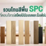 สีพื้น SPC